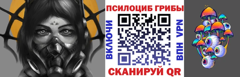 мориарти телеграм Махачкала Псилоцибиновые грибы GOLDEN TEACHER магазин продажи